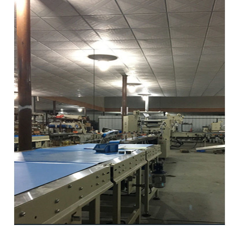 Bread, Cake, Biscuit, Candy Automatic Horizontal Pillow Feeding and Packing Line