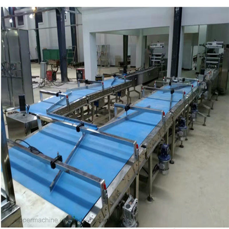 Automatic Equipment Horizontal Flow Food Packing and Feeding Line