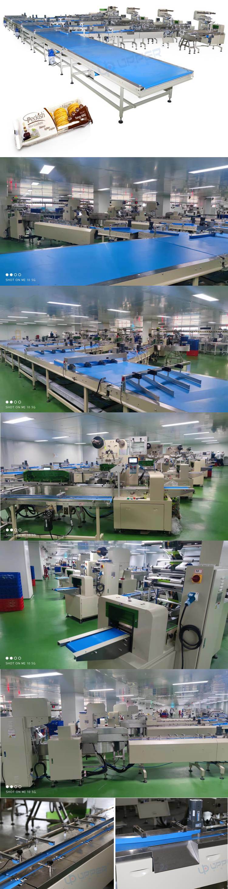 Pillow Packaging Machine Illustration Manipulator Food Packaging Cooking Production and Processing Packaging Line Assembly Line Packaging Machine