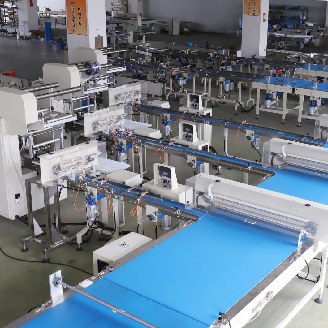 Automatic Feeding and Pacakge Machine/ Flow Wrapper Machine