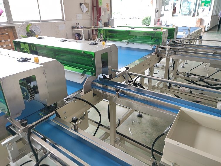 Foshan Upper Automatic One Layer Two Layer Coated Chocolate Wafer Biscuit Packing Line