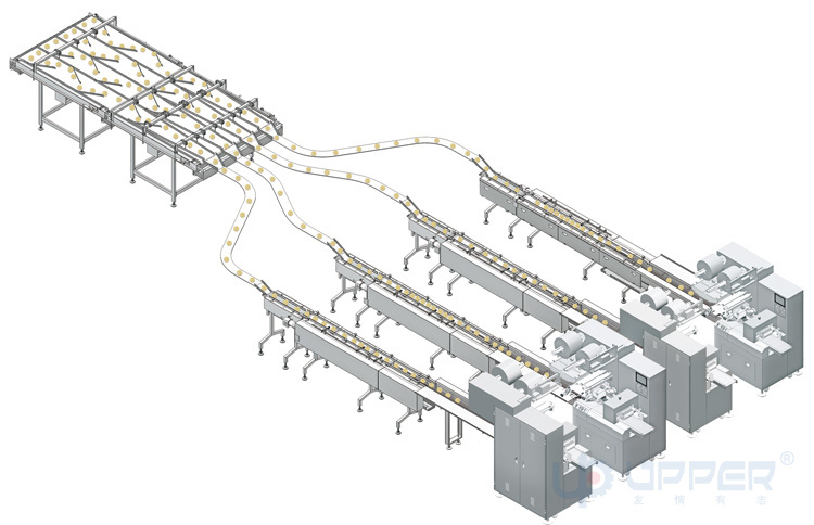 Instant Noodles Automatic Feeding and Packing Line