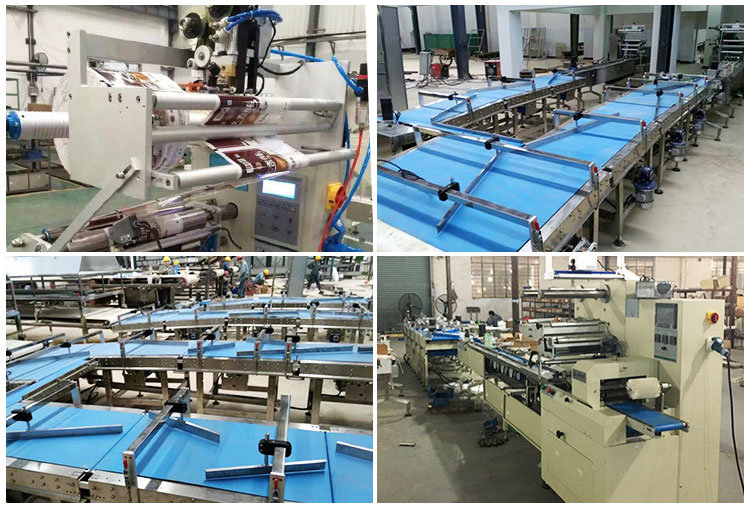 One-Line Automatic Feeding and Packaging Line for Mooncake/Bread/Biscuits