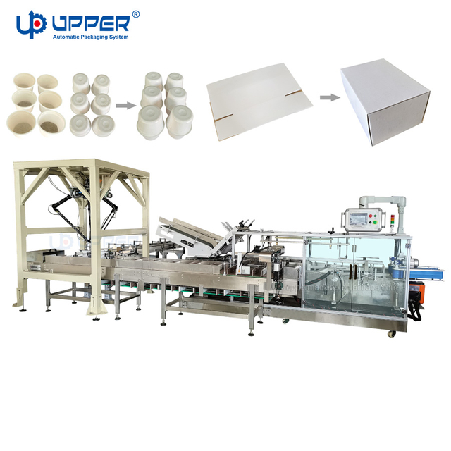 Instant Cup Noodle Carton Box Packing Machine