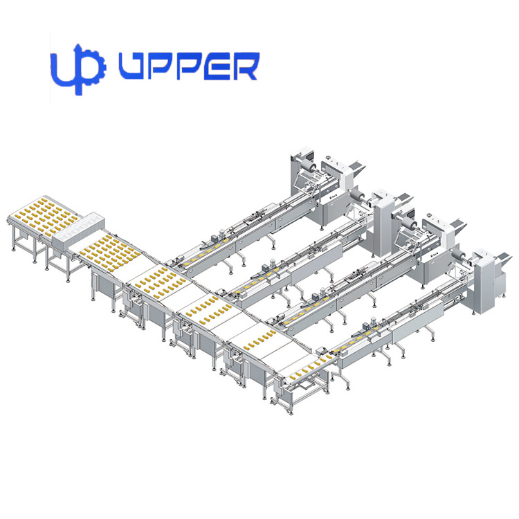 Cake, Chocolate, Ice Cream, Biscuit, Frozen Food Auto Packaging System