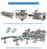 Pipe Automated Roller Conveyor Machine for Material and Sorting System Grain Powder Protein Bar Sachet Bags Sorting Machine for Carton Box Packing Machine