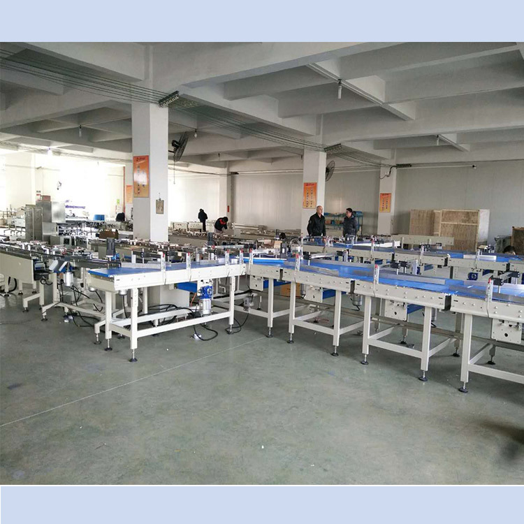 Automatic Food Feeding and Packaging Machine Line