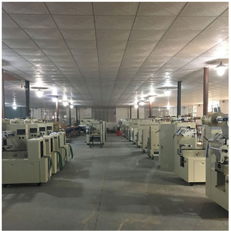 Bread, Cake, Biscuit, Candy Automatic Horizontal Pillow Feeding and Packing Line