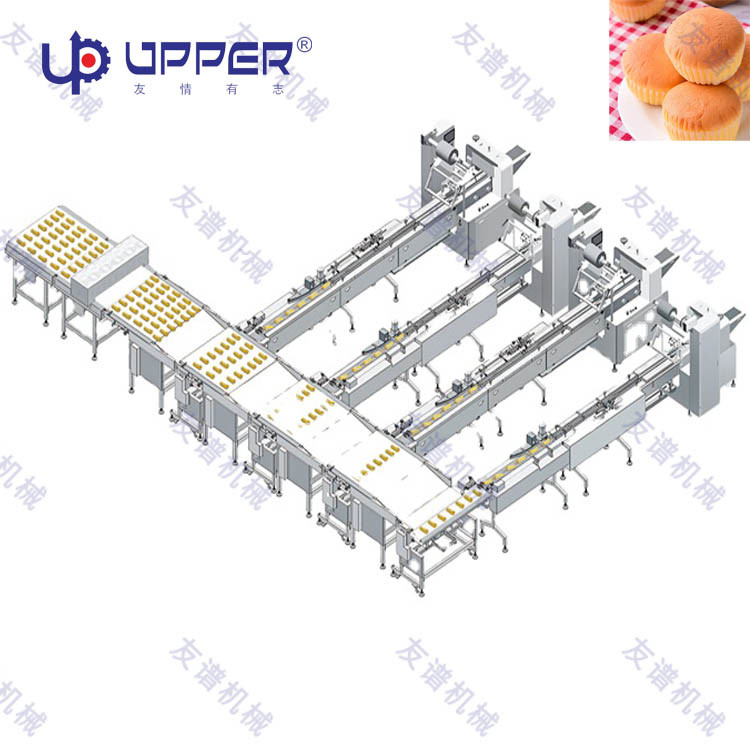 Packaging Machine Pack Bread Machine Packing Machines for Cake High Accuracy Automatic Cartoning DIP Tea Bag Box Carton Packaging Machine