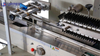 Stainless Steel Pillow Type Flow Packing Machine Packing Equipment Packaging Machine