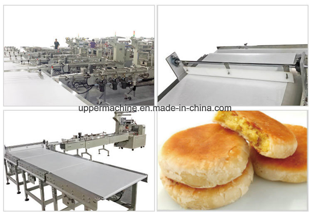 Automatic Packaging Equipment Horizontal Flow Packing and Feeding Line