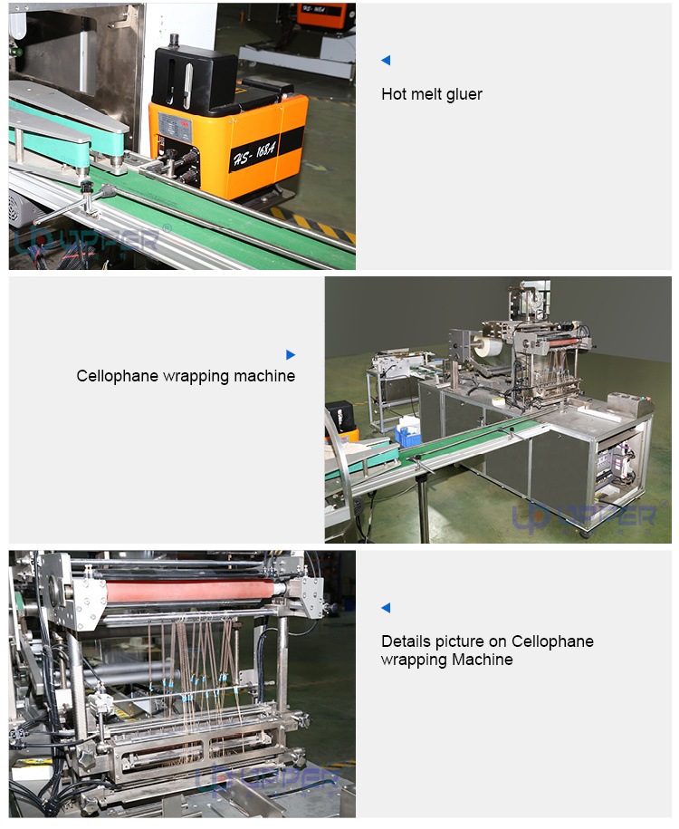 Intelligent Packaging Production Line Design of Automatic System for Sorting, Packing and Sorting of Products Packaging Machinery and Equipment