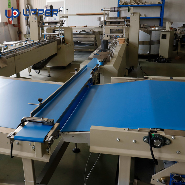 Cake, Chocolate, Ice Cream, Biscuit, Frozen Food Auto Packaging System