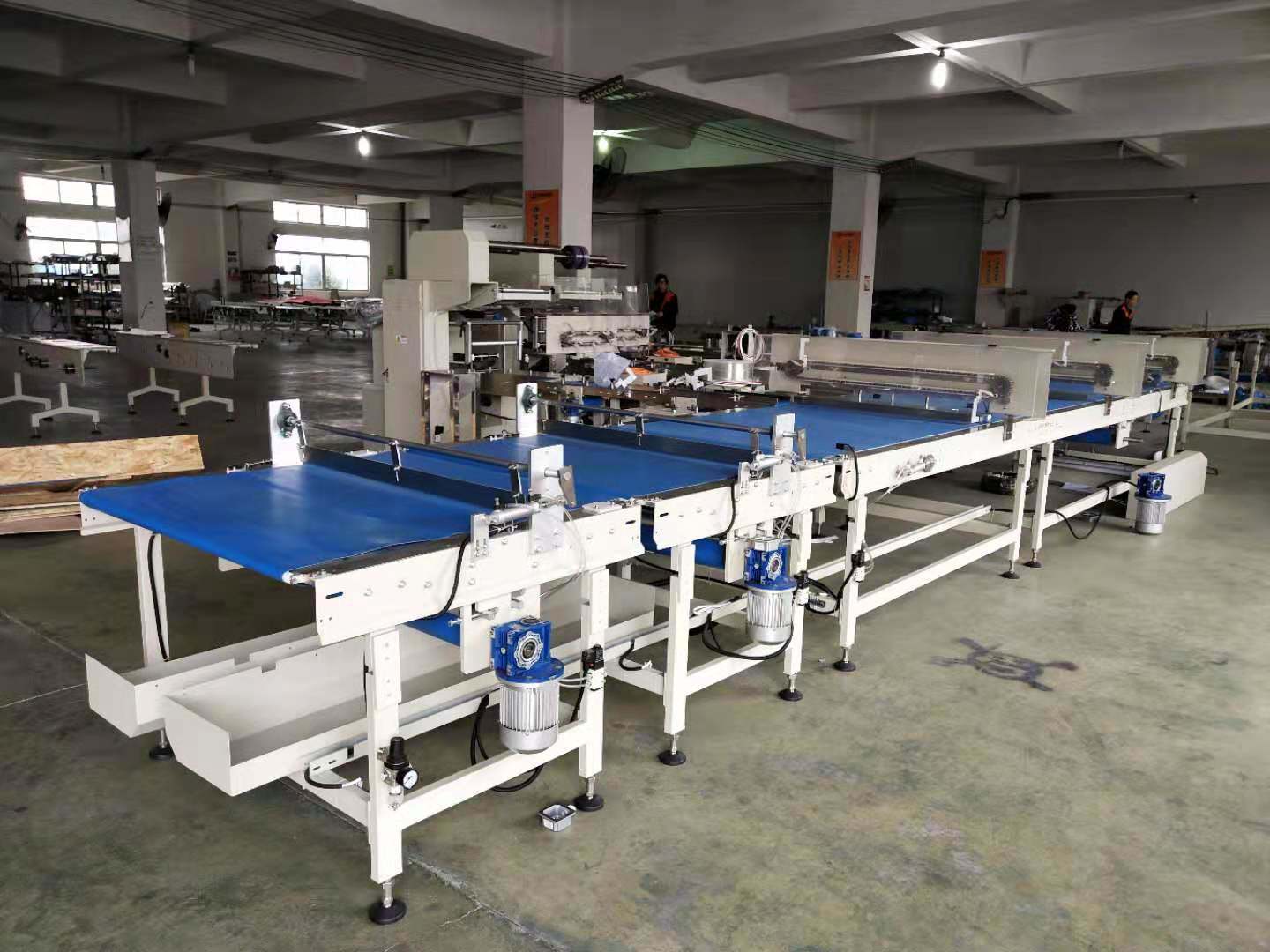 Fully Automatic Electronic Packaging Equipment Factory Pillow Customized Packaging Machine