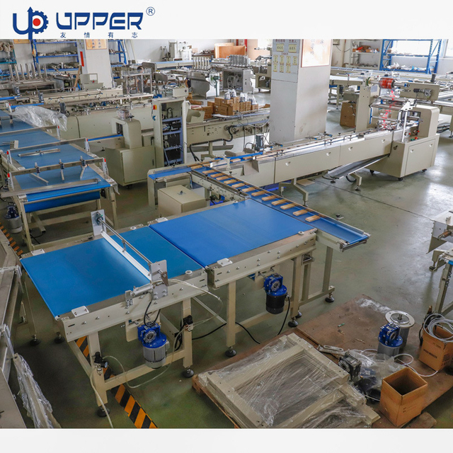 Cookies Automatic Packing Machine Flow Wrapping Machine Packing Line