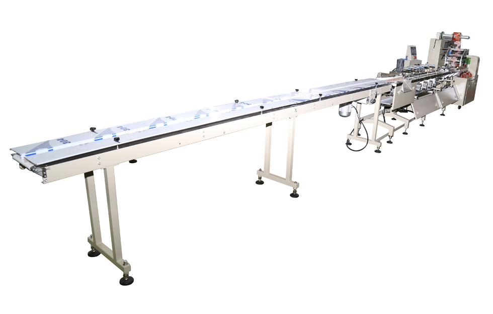 Automatic Washing Soap Feeding Packing Line