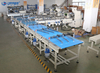 Automatic Waffle Biscuit Egg Roll Swiss Cake Automatic Packing and Tray Delivery Machine