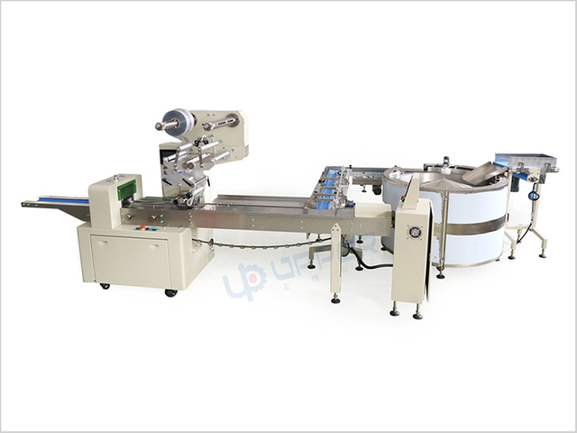 Daily Product Packing Machine